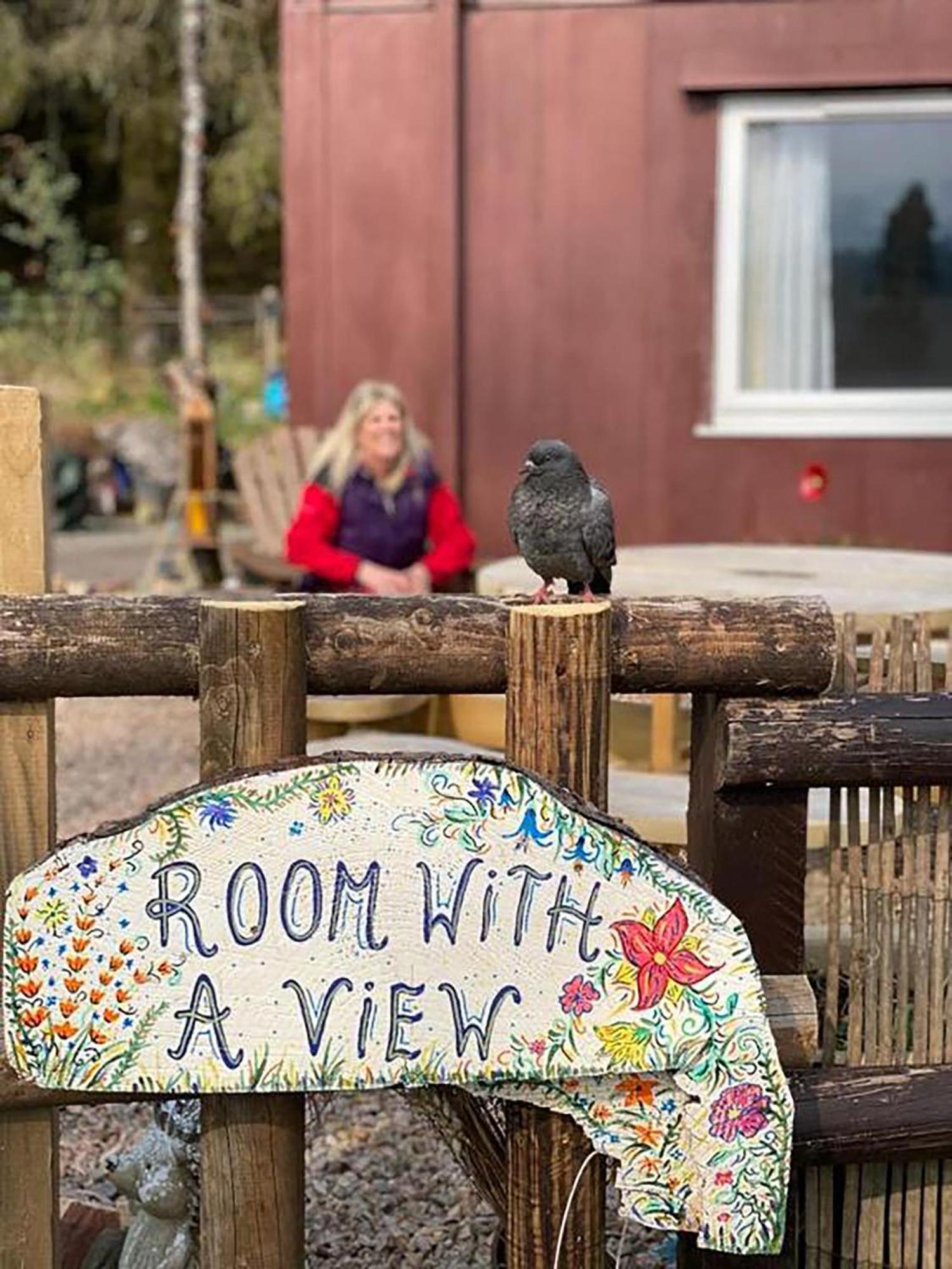 Room With A View سبين بريدج المظهر الخارجي الصورة